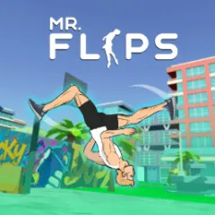 Mr Flip